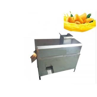 Mango Juice Machine Medium