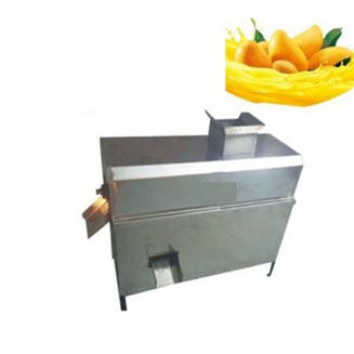 Mango Juicepulp Processing Machine