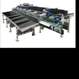 Mango Sorting Machine