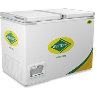 Metal 300 L Western Mini Electric Deep Freezer