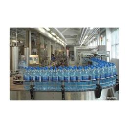 Mineral Packaged Drink Water Plant