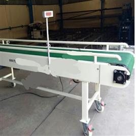 flat belt conveyor