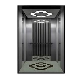 Modern Residential Elevator