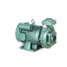 Monoblock Pump 05 Hp