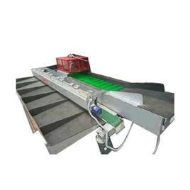 Motorized Apple Sorting Machine In Ambala Thind Agriculture Machine, Power Source: Electric