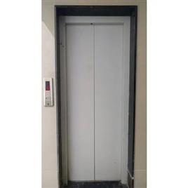 Ms Auto Door, Color: Silver