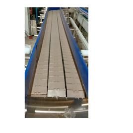 Ms Slat Chain Conveyor