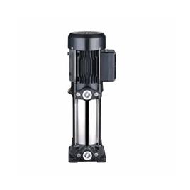 Multistage Pump