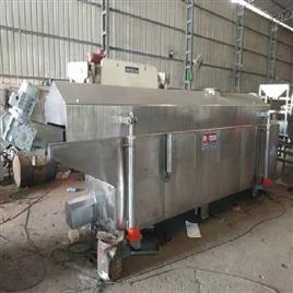 New Continuous Fryer