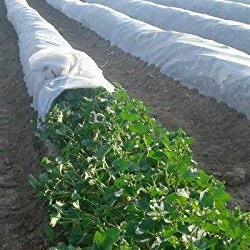 Non Woven Fabric Crop Cover Crop Protection Cover Crop Shield Cover