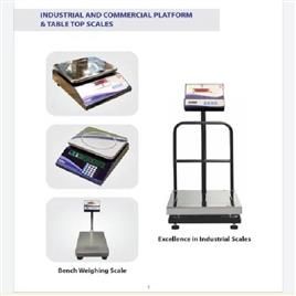 Platform Weighing Scale In Nagpur Sensors Systems Industrial Solutions Private Limited