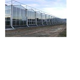 Polycarbonate Greenhouse, Light Transmittance: 60-85 %