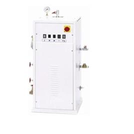 Portable Steam Boiler 2, Power: 2 kW