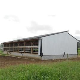 Poultry Farm Sheds