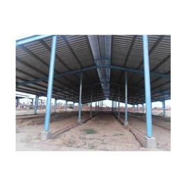 Prefabricated Dairy Farm Shed, Usage/Application: Dairy