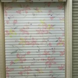 Printed Zebra Roller Blinds, Material: PVC