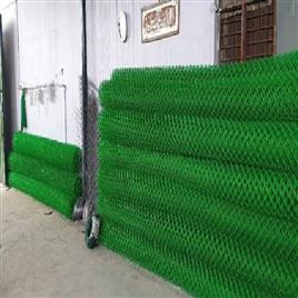 Pvc Coated Chain Link Mesh Fence Wire Diameter: 6 mm