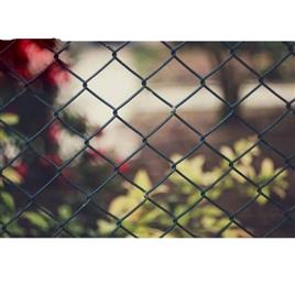 Pvc Coated Chain Link Mesh Fence 3