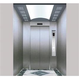 Residential Passenger Elevator 14, Material: Stainless Steel