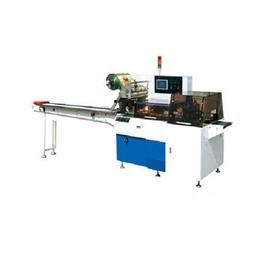 Samosa Pouch Packing Machine