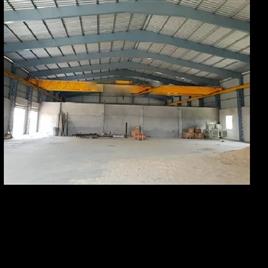 double girder cranes