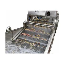 Semi Automatic Fruit Washing Plant In Ghaziabad A A Marketing India