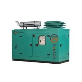 Silent Diesel Generator 2