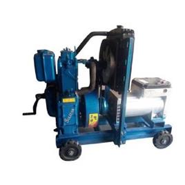 Singal Silicon 10 Kva Single Phase Water Cooled Radiator Type Generator 220 To 240, Starting: handle