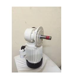 Single Phase Gear Motor