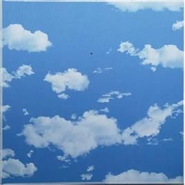 Sky Cloud Pvc Plastic Ceiling Tiles