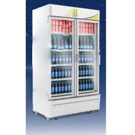Src 1100 Visi Cooler