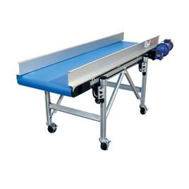 Ss Flat Belt Conveyor 2, Capacity: 150 kg per feet