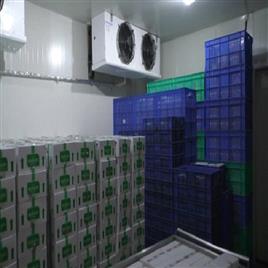 cold room