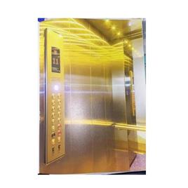 Stainless Steel Elevators In Delhi Arcon International Co, Maximum Rise: 10-15 m