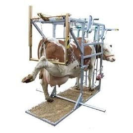 Stainless Steel Hoof Trimmer