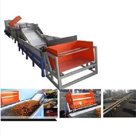 Stainless Steel Mix Fruit Grading Machine, Country of Origin: Made in India