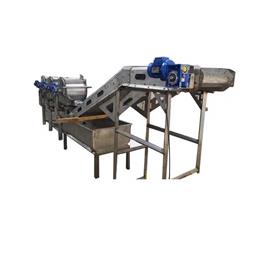 Stainless Steel Vegetable Washer Machine, Frame Material: Stainless Steel