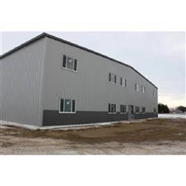 Steel Commercial Pre Engineered Building In Faridabad Kumar And Associates, Color: Grey