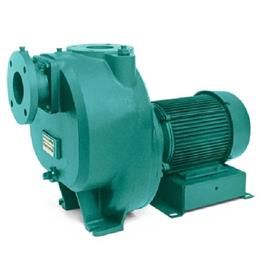 Swimming Pool Pump In Bengaluru Aqualux Pool Products Private Limited