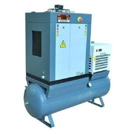 Tank Mounted Screw Air Compressor, Air Tank Capacity: Customized