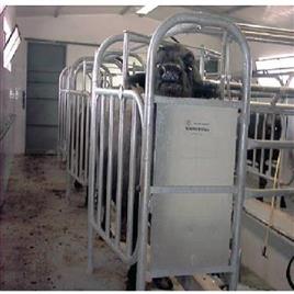 Tendem Milking Parlour Structure