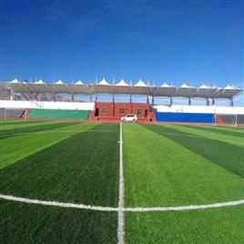 stadium tensile structure