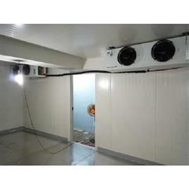 Three Phase Cold Storage Room In Delhi Forestro Refrigeration