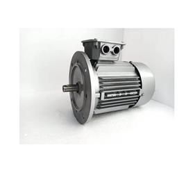 Three Phase Electric Induction Motor