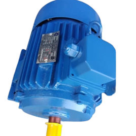 Three Phase Gear Electric Motor