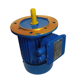 Three Phase Vertical Flange Mounted Motor