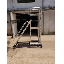 Trolley Step Ladder