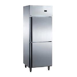 Two Door Vertical Freezer 6