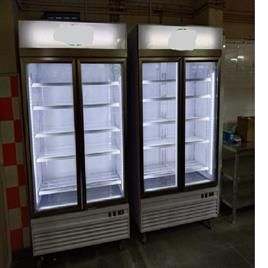 Upright Double Door Visi Cooler