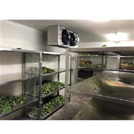 Vegetable Cold Storage Chamber